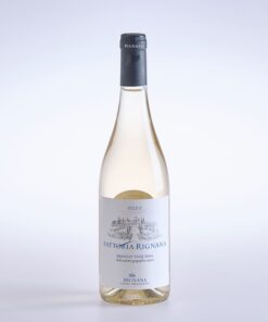 Eine Flasche Wein Sangiovese Bianco Toskana IGT, Bio