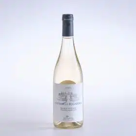 Eine Flasche Wein Sangiovese Bianco Toskana IGT, Bio