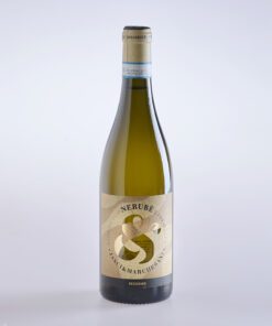 Eine Flasche Wein Nerube Pecorino Abruzzo DOC Superiore