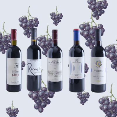 5 elegante Flaschen Rotwein, im Hintergrund dunkle Trauben auf grauem Hintergrund