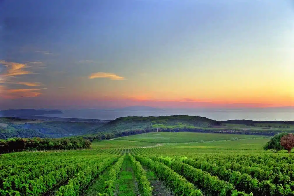 Fotoafnahme zeigt Bolgheri Landschaft ein Region in der Toskana