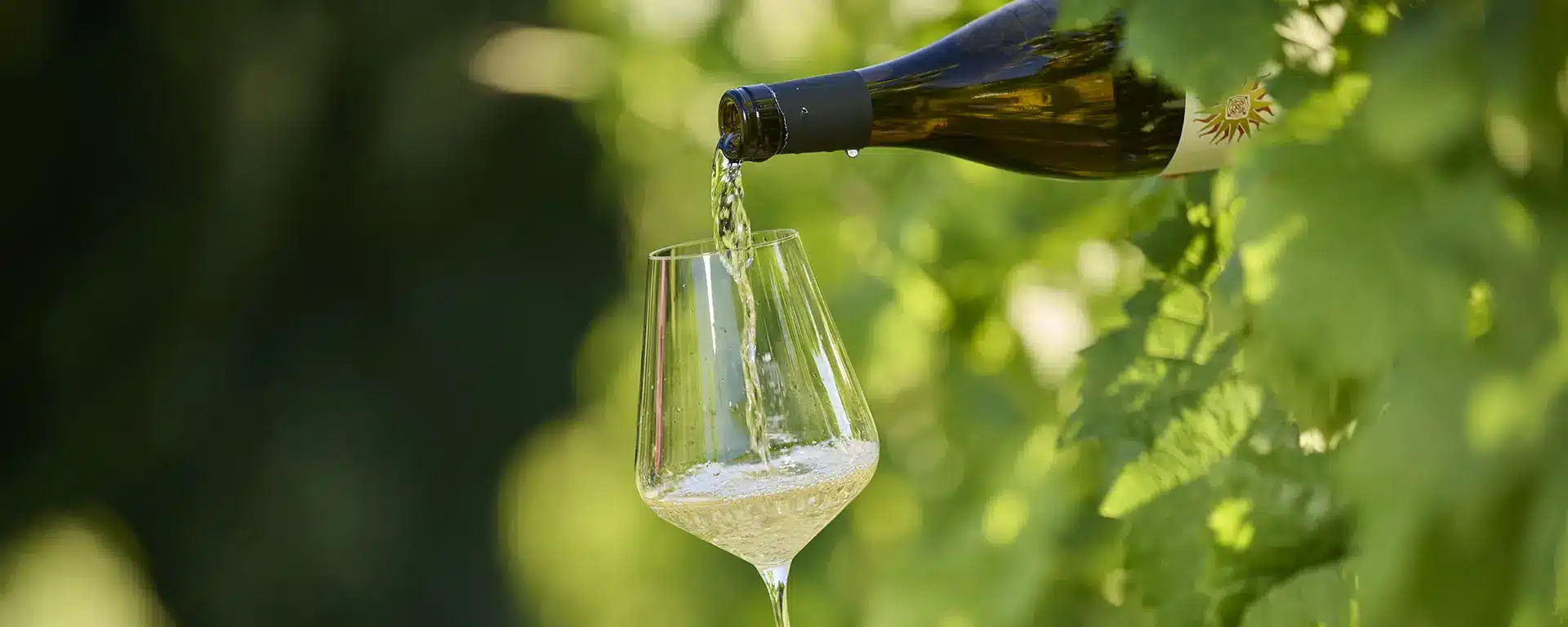 Ein Foto zeigt das Nachschenken von Weißwein.