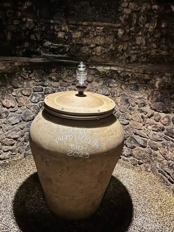 Ein Foto zeigt Amphorengefäße mit Valpolicella Wein.
