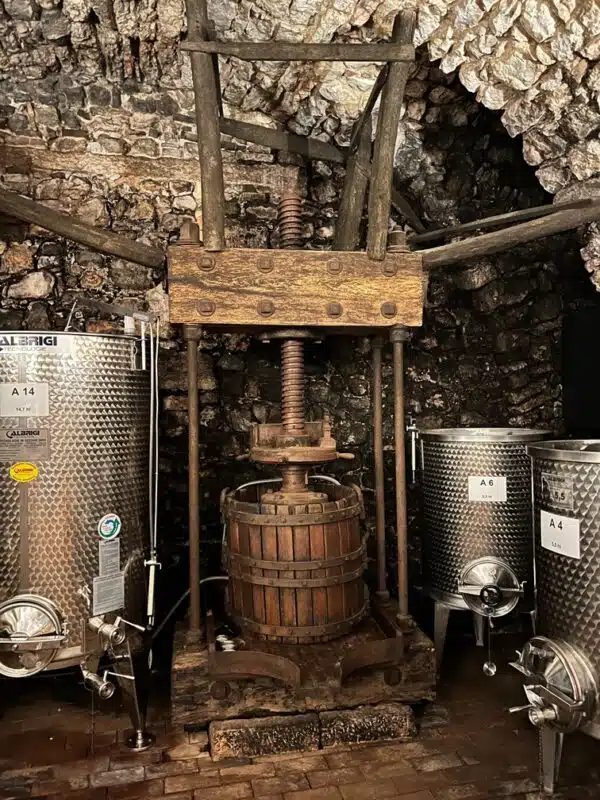 Ein Foto zeigt einen Weinkeller.