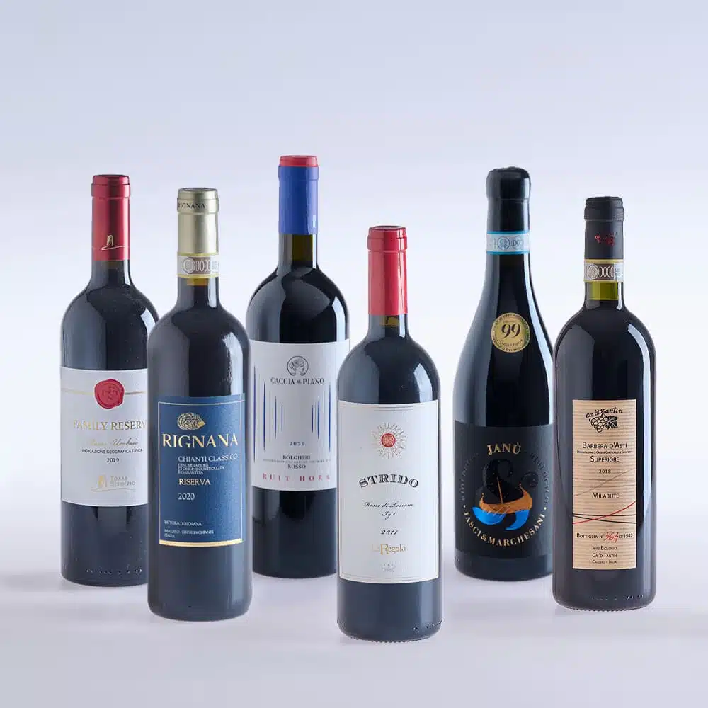 Rotwein Degustationsset – Vino d’Italia