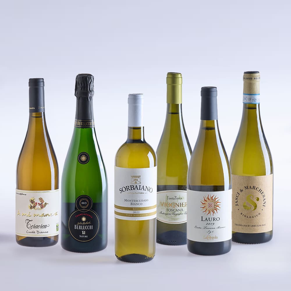Das Bild zeigt ein Weißweinset mit italienischen Weinen.