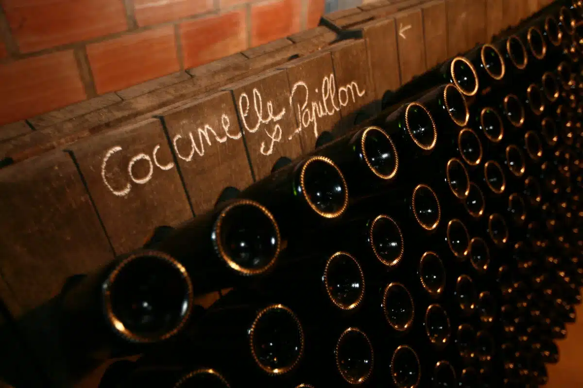 Das Bild zeigt Champagner Flaschen in Keller.